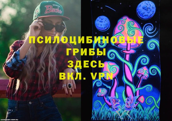 стафф Абаза