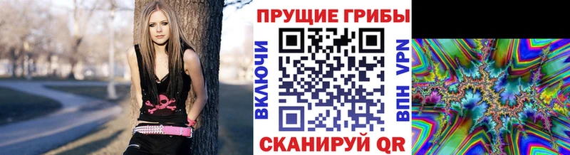 blacksprut сайт  маркетплейс телеграм  Ильский  Псилоцибиновые грибы Psilocybine cubensis  как найти наркотики 